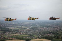 /album/baf-seaking-mk481/img-2509-kopie-lowres-jpg/